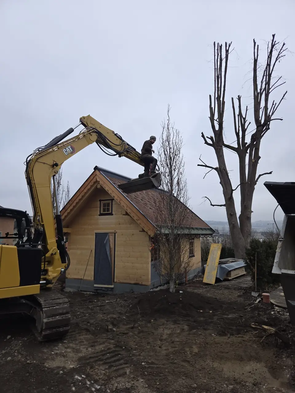 Bagger bei der Baumrodung neben einem Holzhaus