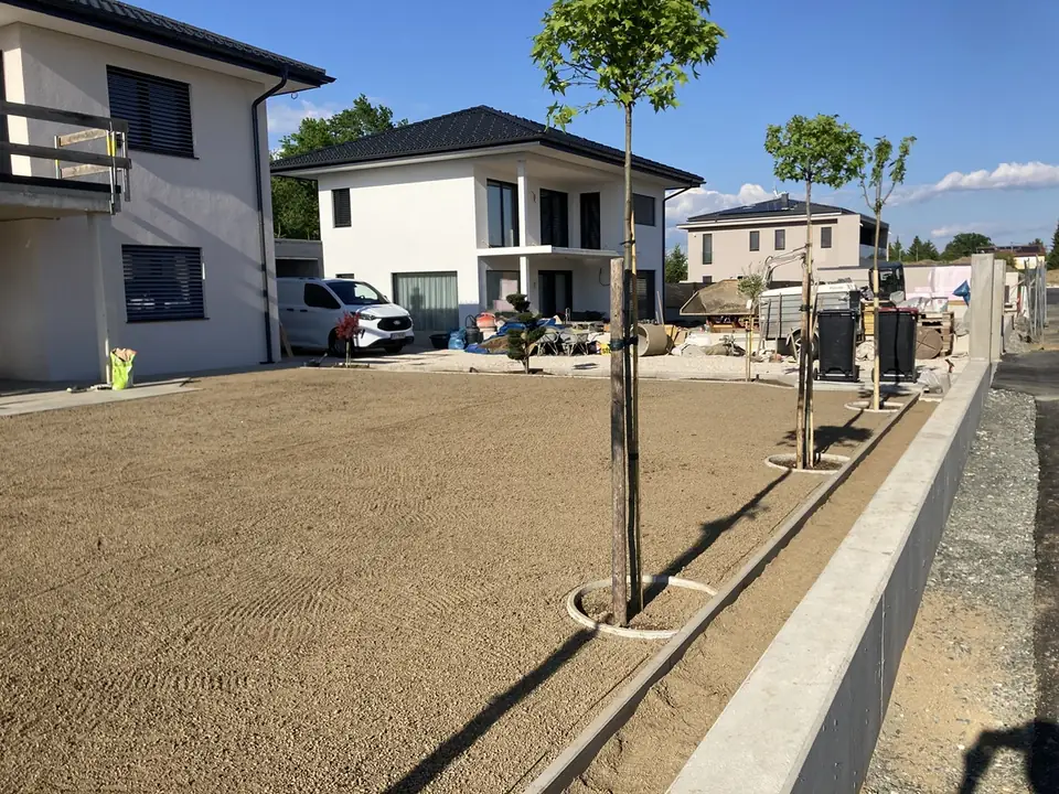 Frisch gepflanzte Bäume vor einer neuen Wohnanlage